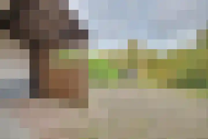 Commendereijstraat 33 Groessen thumbnail 5