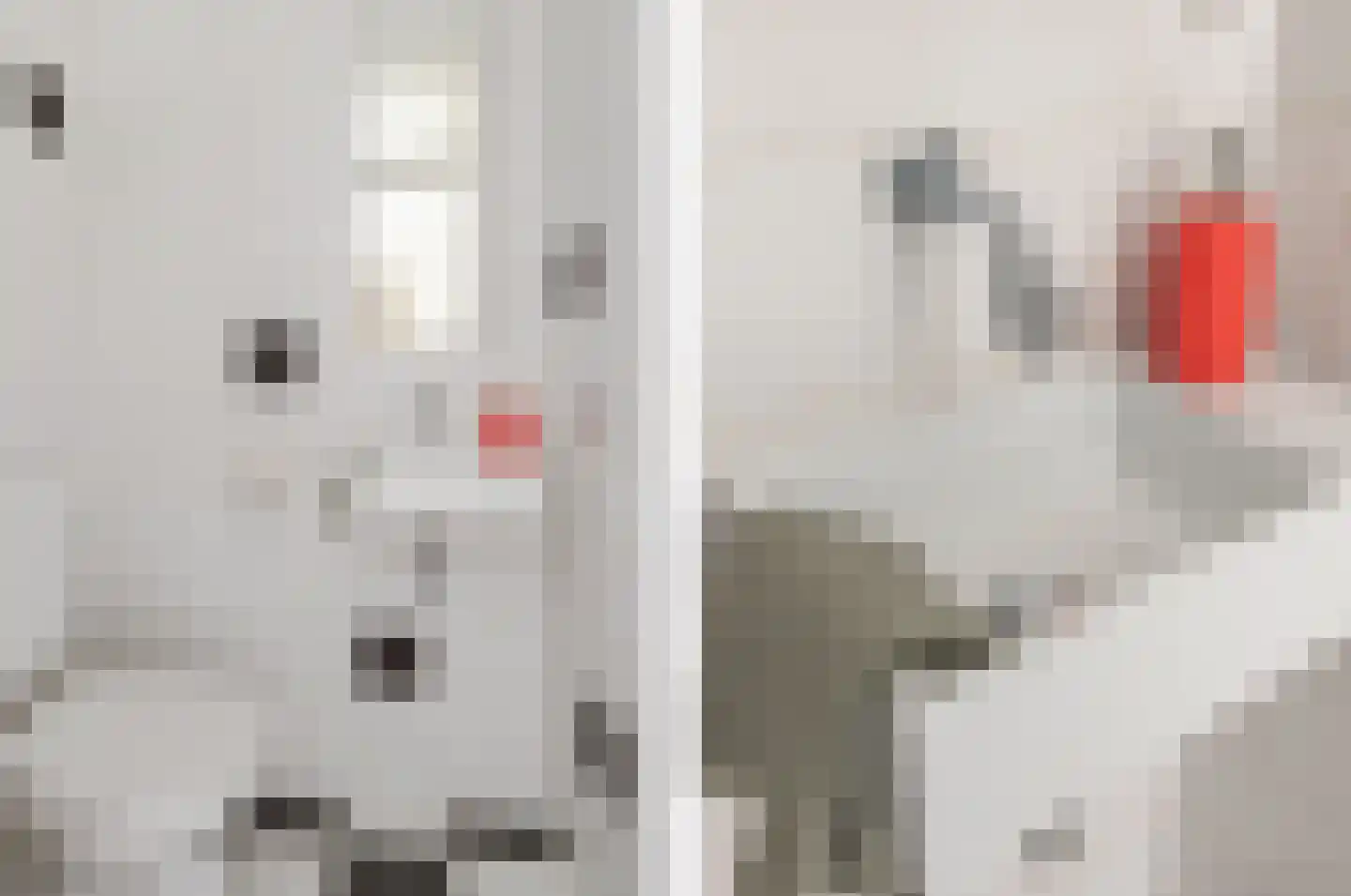 Comopad 28 Eindhoven thumbnail 10