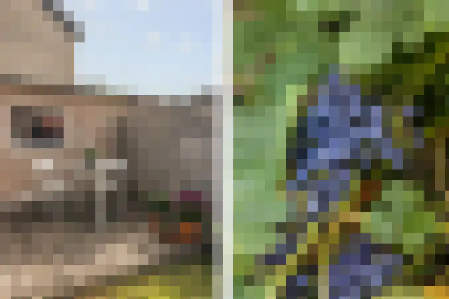 Comopad 28 Eindhoven thumbnail 29