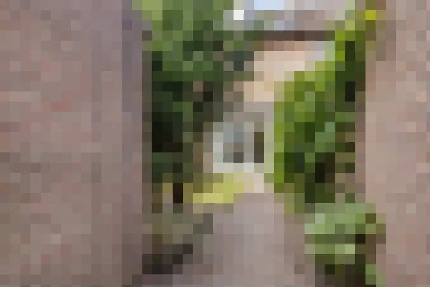 Comopad 28 Eindhoven thumbnail 30