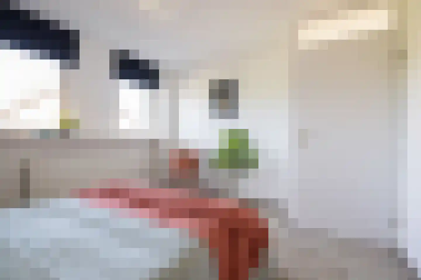 Comopad 28 Eindhoven thumbnail 37