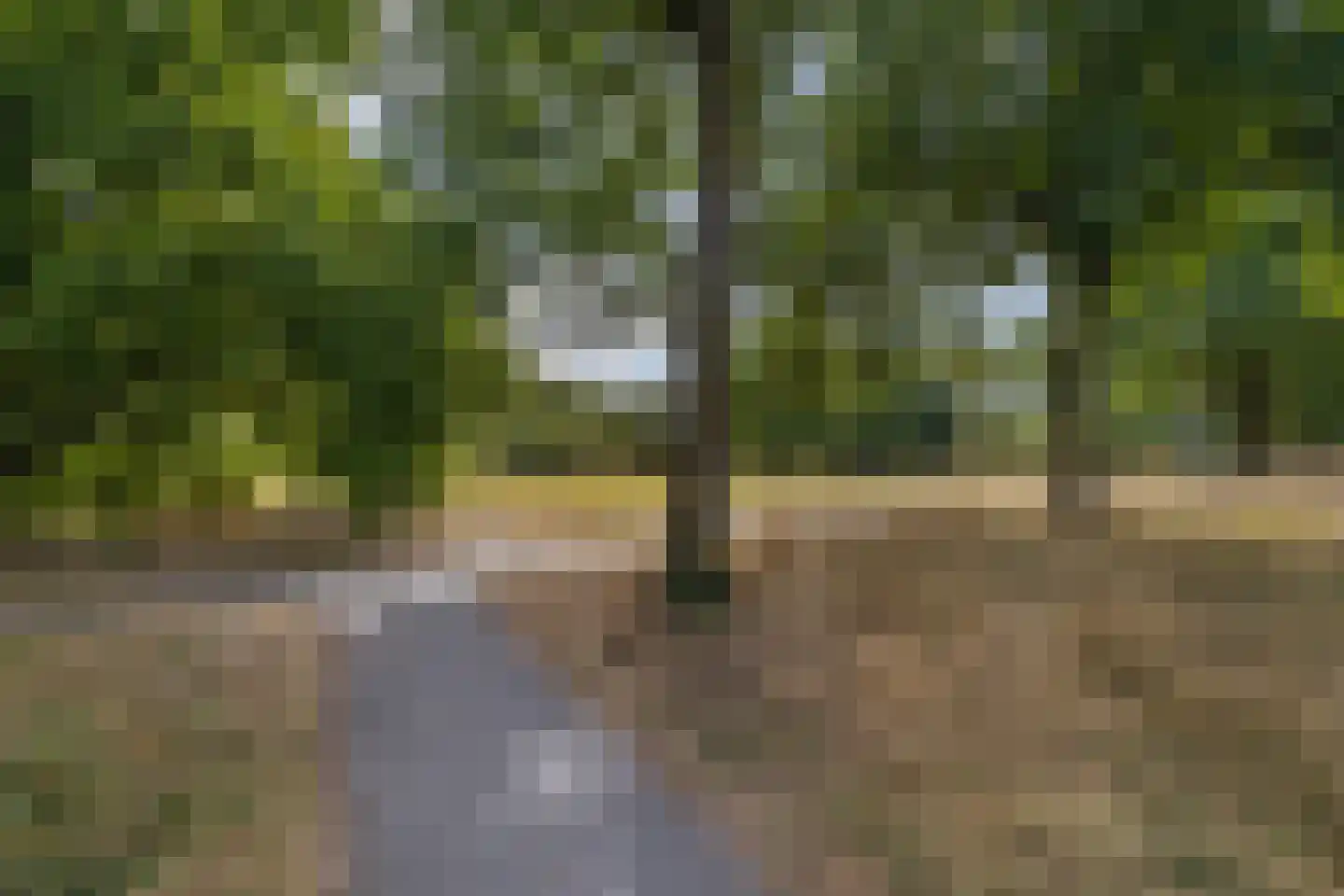 Comopad 28 Eindhoven thumbnail 49