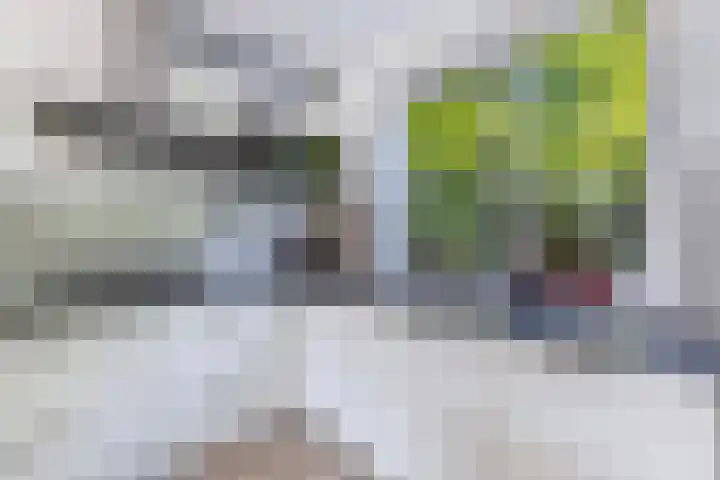 Compagnie 57 Steenwijk thumbnail 13