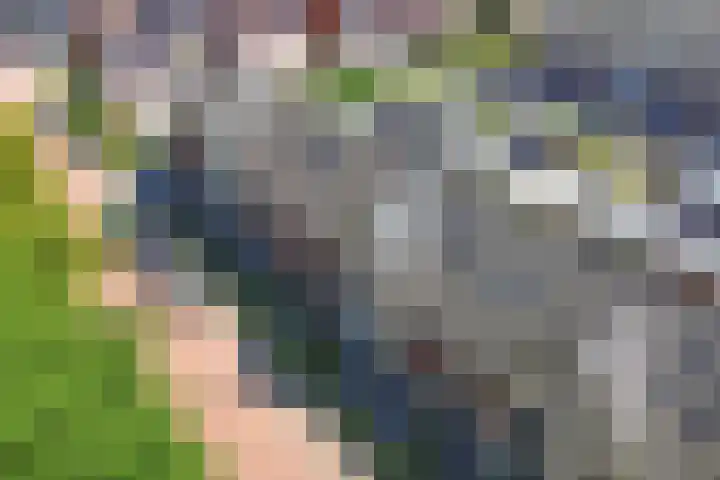 Compagnie 57 Steenwijk thumbnail 48