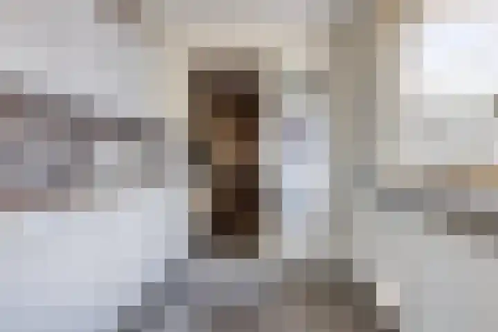 Compagnonsstrjitte 147 Gorredijk thumbnail 12