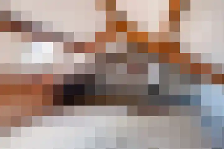 Compagnonsstrjitte 147 Gorredijk thumbnail 18