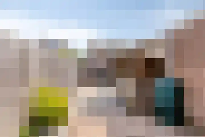 Compagnonsstrjitte 147 Gorredijk thumbnail 20