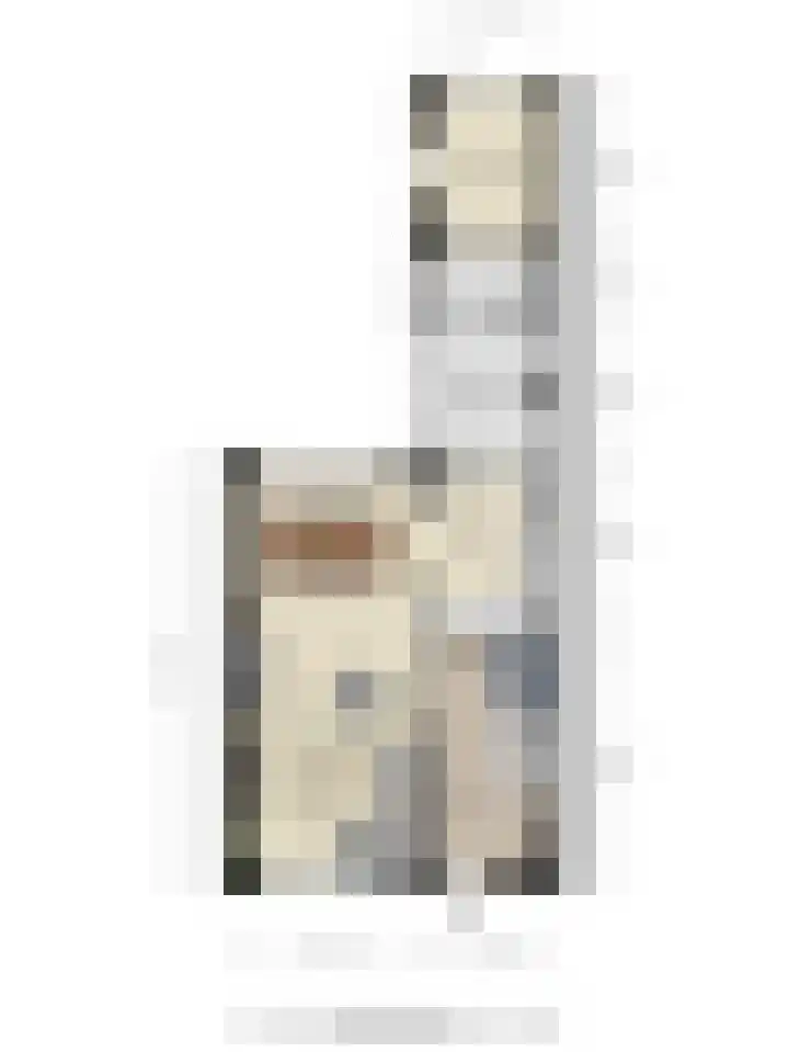 Compagnonsstrjitte 147 Gorredijk thumbnail 22