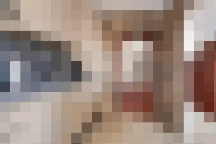 Compagnonsstrjitte 147 Gorredijk thumbnail 8
