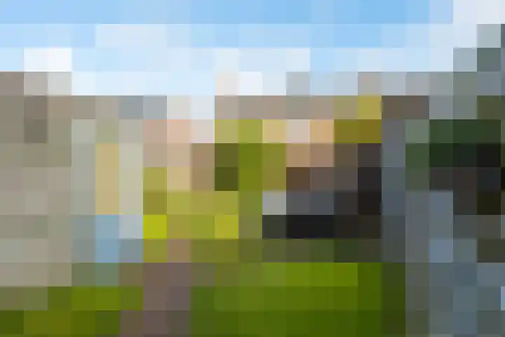 Compagnonsstrjitte 149 Gorredijk thumbnail 12