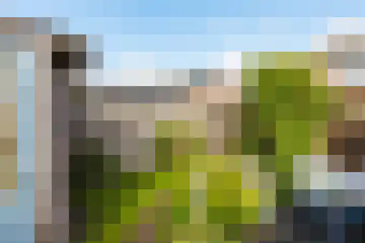 Compagnonsstrjitte 149 Gorredijk thumbnail 13