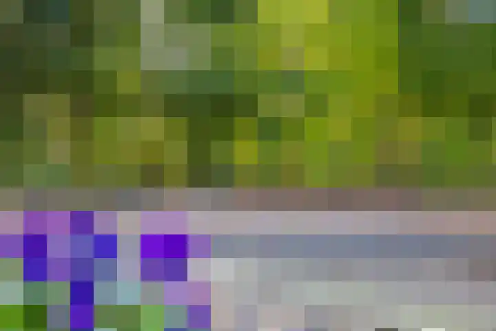 Compagnonsstrjitte 149 Gorredijk thumbnail 14