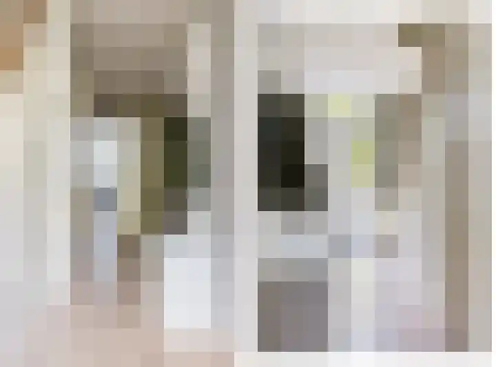 Compagnonsstrjitte 149 Gorredijk thumbnail 15