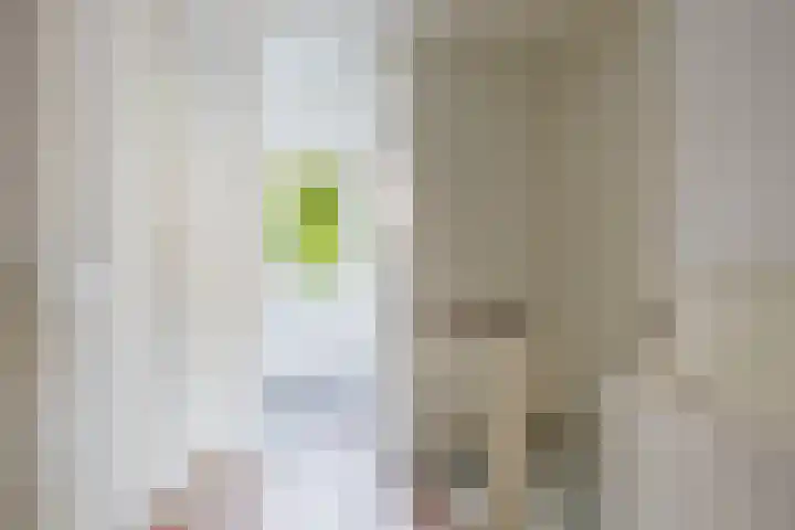 Compagnonsstrjitte 149 Gorredijk thumbnail 24