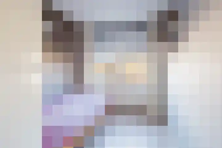 Compagnonsstrjitte 149 Gorredijk thumbnail 26