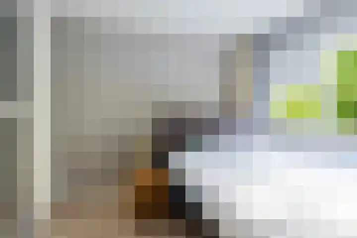 Compagnonsstrjitte 149 Gorredijk thumbnail 31
