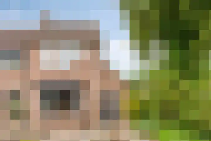 Compagnonsstrjitte 80 Gorredijk