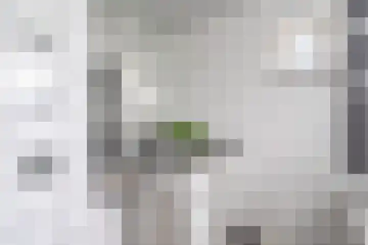 Compagnonsweg 33 Ravenswoud thumbnail 27