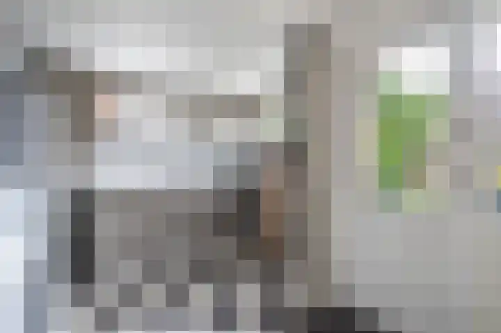 Compagnonsweg 33 Ravenswoud thumbnail 29