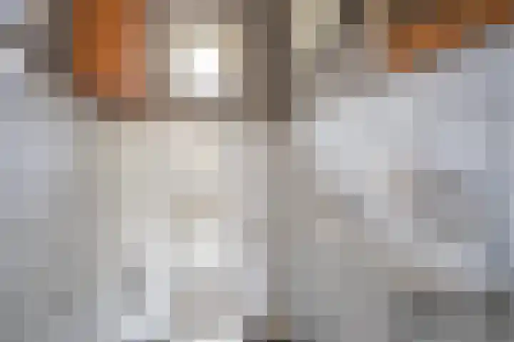 Compagnonsweg 33 Ravenswoud thumbnail 30