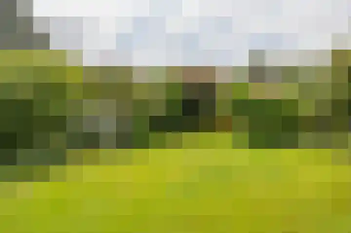 Compagnonsweg 33 Ravenswoud thumbnail 4