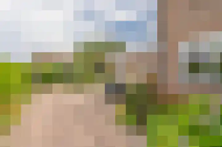Compagnonsweg 33 Ravenswoud thumbnail 40