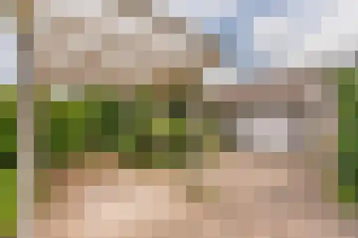 Compagnonsweg 33 Ravenswoud thumbnail 42