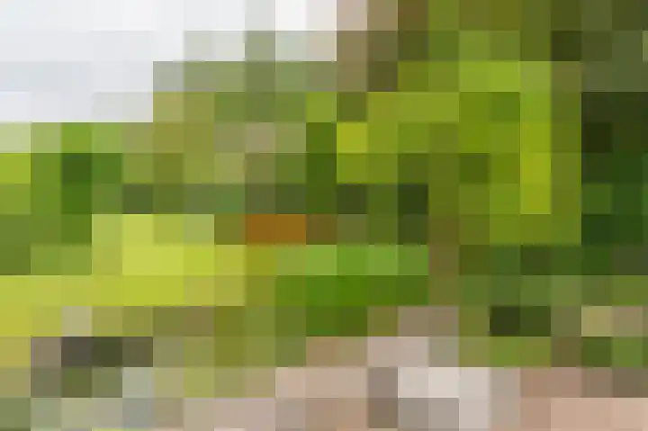 Compagnonsweg 33 Ravenswoud thumbnail 47