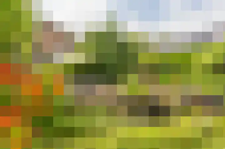 Compagnonsweg 33 Ravenswoud thumbnail 48