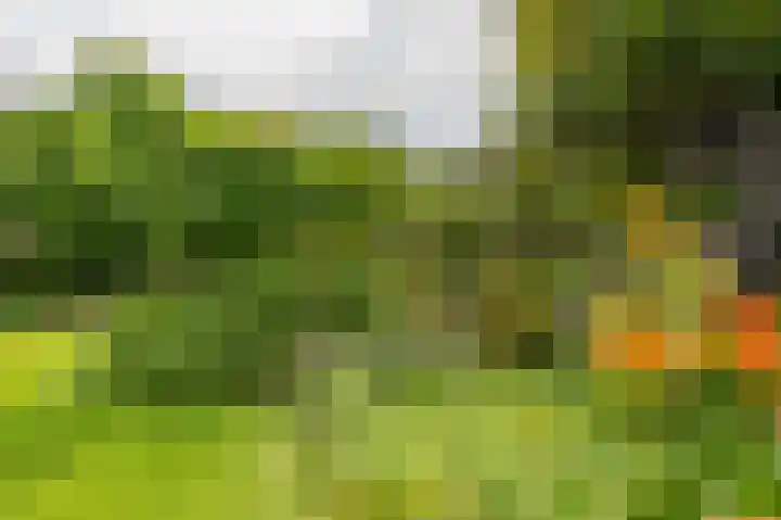 Compagnonsweg 33 Ravenswoud thumbnail 51
