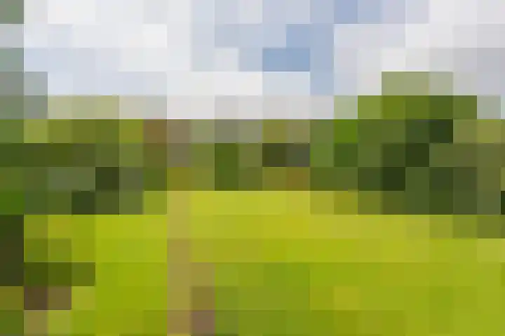 Compagnonsweg 33 Ravenswoud thumbnail 54