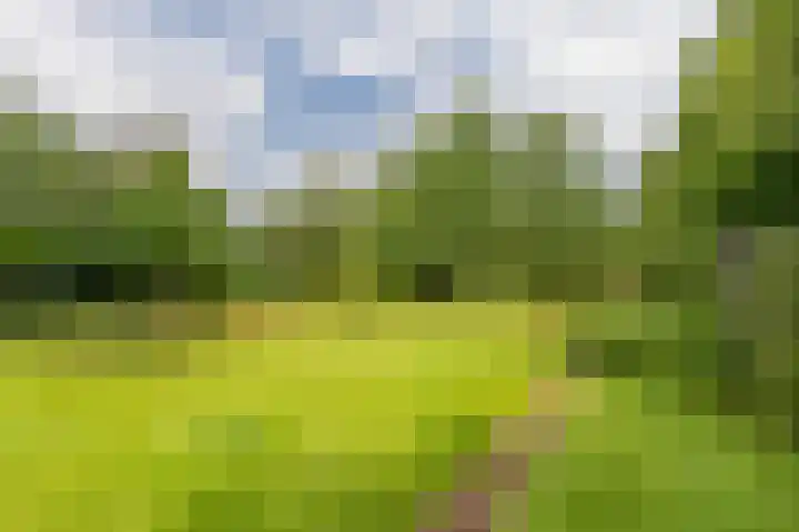 Compagnonsweg 33 Ravenswoud thumbnail 56