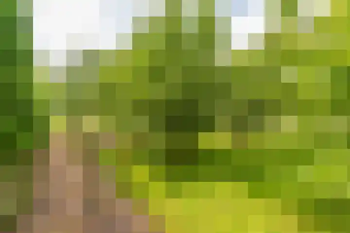 Compagnonsweg 33 Ravenswoud thumbnail 58