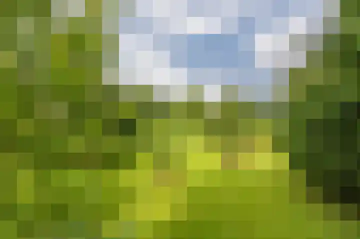Compagnonsweg 33 Ravenswoud thumbnail 59