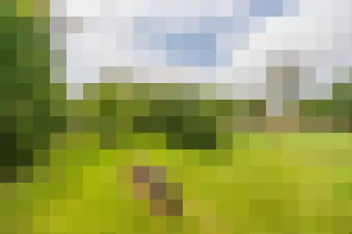 Compagnonsweg 33 Ravenswoud thumbnail 60