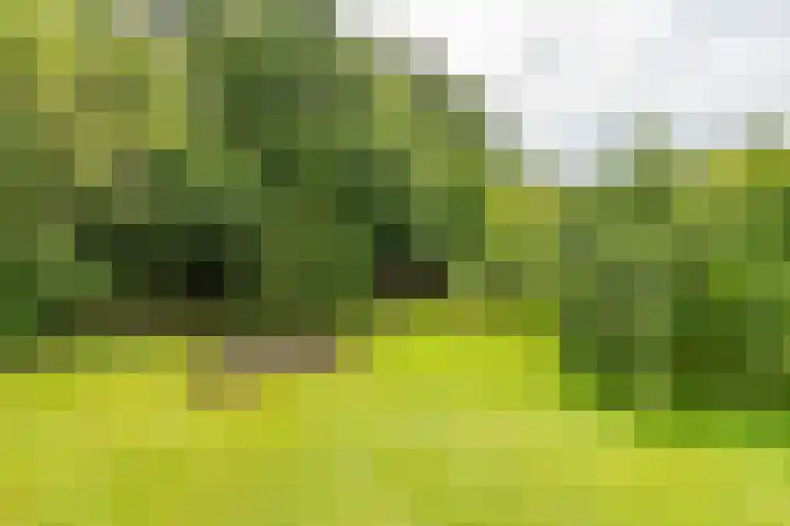 Compagnonsweg 33 Ravenswoud thumbnail 61
