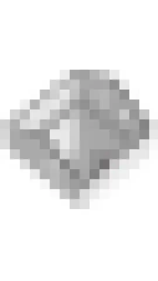 Compagnonsweg 33 Ravenswoud thumbnail 70