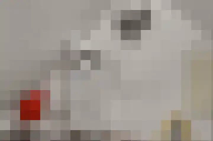 Compagnonsweg 40 Ravenswoud thumbnail 32