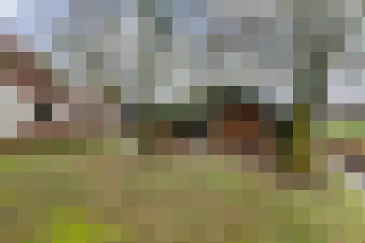 Compagnonsweg 40 Ravenswoud thumbnail 45