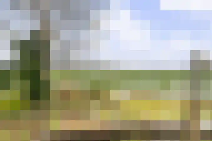 Compagnonsweg 40 Ravenswoud thumbnail 47
