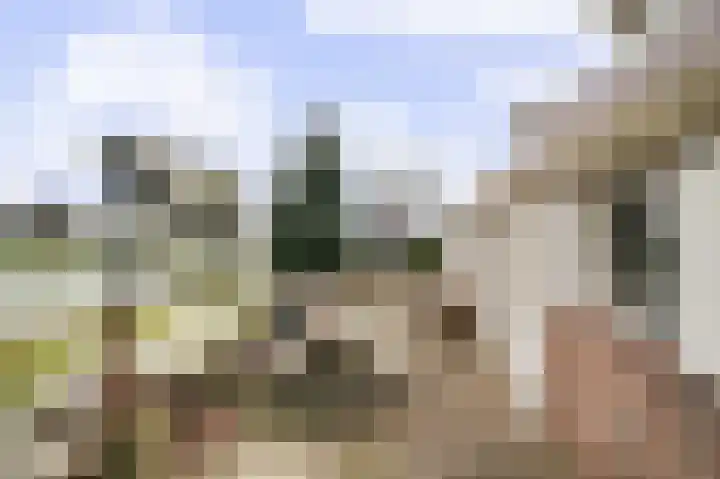 Compagnonsweg 40 Ravenswoud thumbnail 49