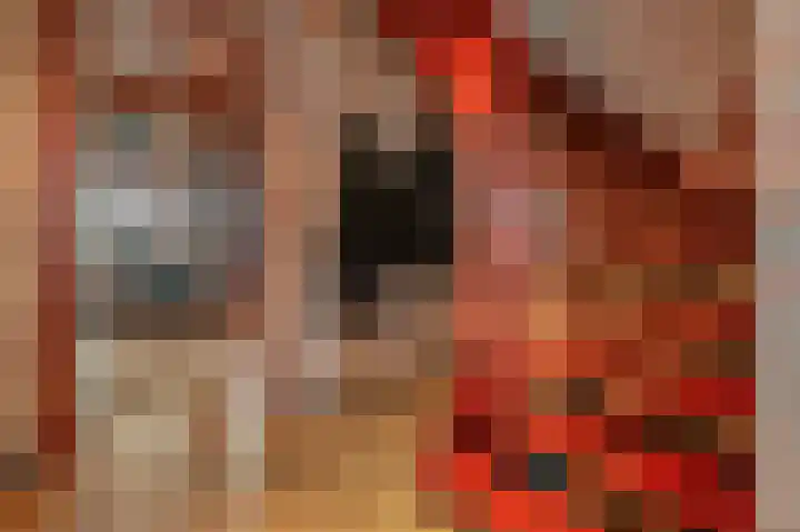 Compagnonsweg 40 Ravenswoud thumbnail 5