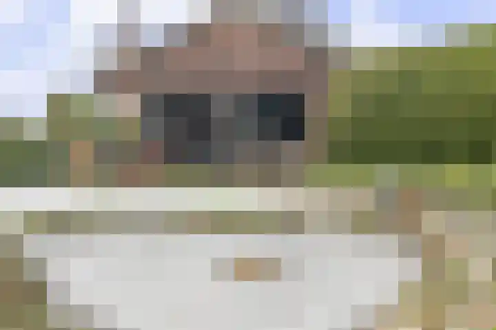 Compagnonsweg 40 Ravenswoud thumbnail 51