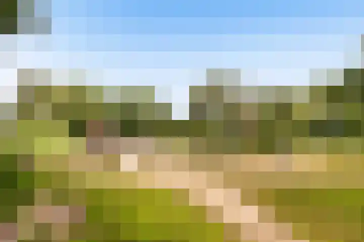 Componistenlaan 84 Gouda thumbnail 46