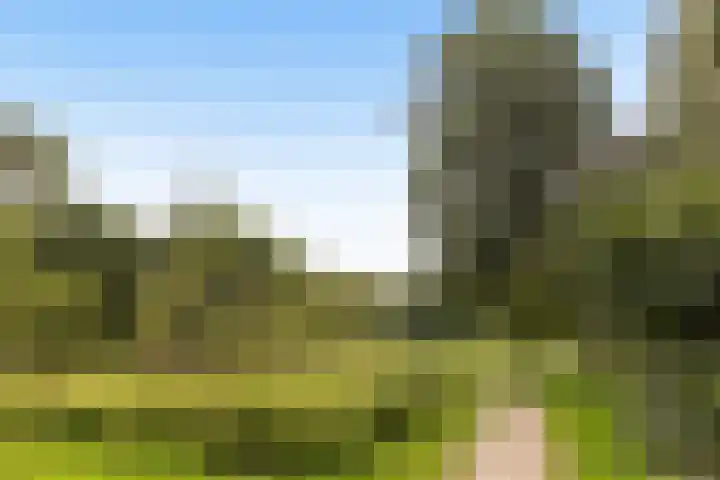 Componistenlaan 84 Gouda thumbnail 48