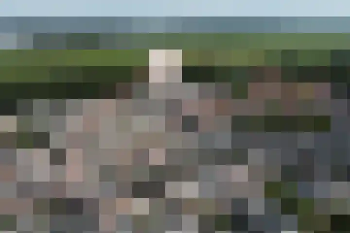 Componistenlaan 84 Gouda thumbnail 54