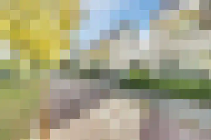 Componistenpad 11 Hellevoetsluis thumbnail 39