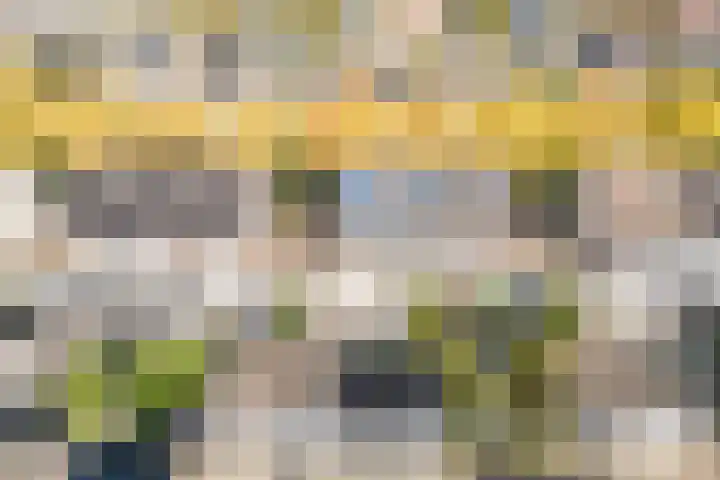 Componistenpad 11 Hellevoetsluis thumbnail 43