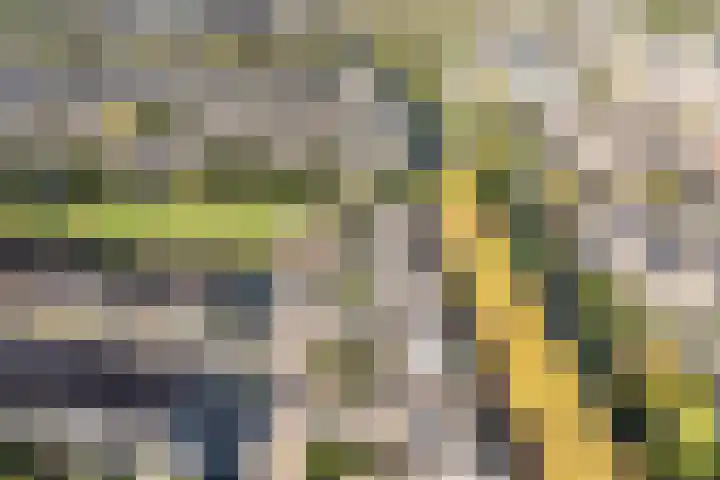 Componistenpad 11 Hellevoetsluis thumbnail 46