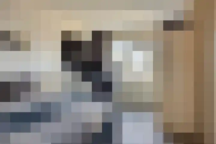 Componistenpad 4 Hellevoetsluis thumbnail 29